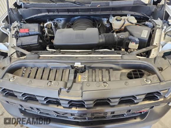 2020 Chevrolet Silverado 1500 Custom Trail Boss with VIN 1GCPYCEF9LZ178866, listed as a Copart auction lot 80925385 with 123,171 mi miles and Clean title. Bid and sale history available at DreamBid. Image 11.