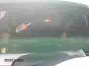 2024 Chevrolet Trax LT with VIN KL77LHE24RC092396, listed as a Copart auction lot 68951315 with 5,905 mi miles and Salvage title. Bid and sale history available at DreamBid. Image 9.