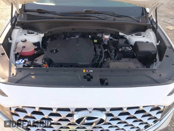 2021 Hyundai Santa Fe SEL z VIN 5NMS24AJ6MH318230, wystawiony jako IAAI lot #43106688 z przebiegiem 63 291 mil mil oraz . Historia ofert i sprzedaży dostępna na DreamBid. Obrazek 10.
