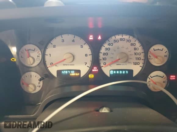 2002 Dodge 1500 z VIN 1D7HA16KX2J242165, wystawiony jako Copart lot #69094385 z przebiegiem 128 710 mil mil oraz Szkoda całkowita • Salvage title. Historia ofert i sprzedaży dostępna na DreamBid. Obrazek 9.