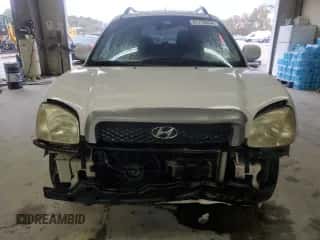 2004 Hyundai Santa Fe GLS z VIN KM8SC73D84U814804, wystawiony jako Copart lot #81170534 z przebiegiem 159 374 mil mil oraz Szkoda całkowita • Salvage title. Historia ofert i sprzedaży dostępna na DreamBid. Obrazek 5.