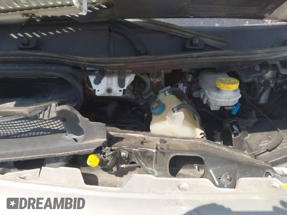 2021 Ram ProMaster Cargo с VIN 3C6LRVDG4ME513943, выставлен на аукционе IAAI как лот 43146485 с пробегом 101 412 миль миль и . История ставок и продаж доступна на DreamBid. Изображение 10.