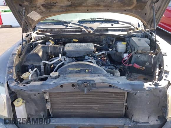 2005 Dodge Dakota SLT z VIN 1D7HE48N75S275748, wystawiony jako IAAI lot #43289762 z przebiegiem 78 744 mil mil oraz . Historia ofert i sprzedaży dostępna na DreamBid. Obrazek 10.