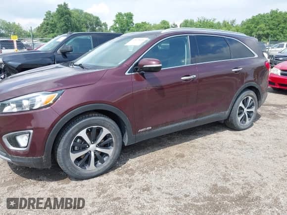 2017 Kia Sorento EX z VIN 5XYPHDA51HG289386, wystawiony jako IAAI lot #42419455 z przebiegiem 146 464 mil mil oraz . Historia ofert i sprzedaży dostępna na DreamBid. Obrazek 18.