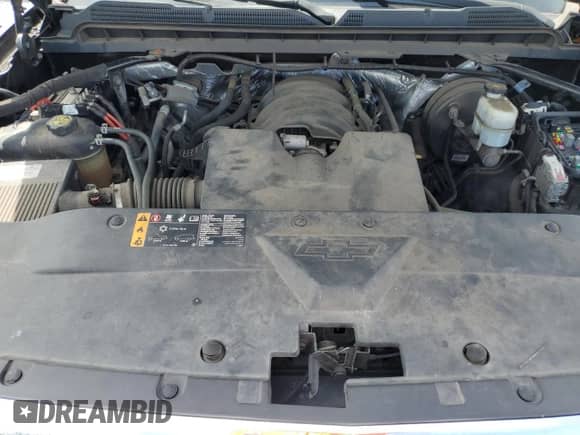 2018 Chevrolet Silverado 1500 LT with VIN 1GCRCREH5JZ164827, listed as a Copart auction lot 80163225 with 250,731 mi miles and Clean title. Bid and sale history available at DreamBid. Image 11.