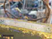 1991 Jeep Wrangler z VIN 2J4FY19P9MJ131263, wystawiony jako IAAI lot #42451259 z przebiegiem Nie podano mil oraz . Historia ofert i sprzedaży dostępna na DreamBid. Obrazek 9.