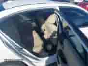 2017 Honda Accord EX-L with VIN 1HGCR3F84HA034922, listed as a IAAI auction lot 43485521 with 137,779 mi miles and . Bid and sale history available at DreamBid. Image 8.