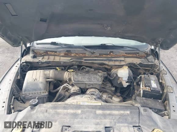 2010 Dodge 1500 ST z VIN 1D7RB1CP4AS189179, wystawiony jako IAAI lot #41956547 z przebiegiem 218 519 mil mil oraz . Historia ofert i sprzedaży dostępna na DreamBid. Obrazek 10.