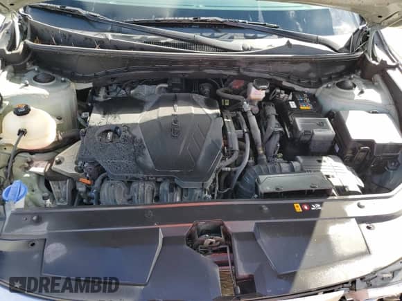 2022 Hyundai Santa Cruz SEL с VIN 5NTJB4AE7NH036621, выставлен на аукционе Copart как лот 76979894 с пробегом 38 729 миль миль и Списание • Salvage title. История ставок и продаж доступна на DreamBid. Изображение 11.