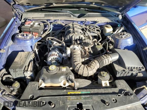 2005 Ford Mustang Deluxe z VIN 1ZVFT80N655138578, wystawiony jako Copart lot #81773235 z przebiegiem 113 121 mil mil oraz Szkoda całkowita • Salvage title. Historia ofert i sprzedaży dostępna na DreamBid. Obrazek 11.