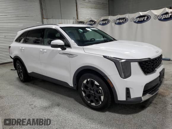 2024 Kia Sorento S with VIN 5XYRL4JC2RG271437, listed as a Copart auction lot 87086625 with 43,686 mi miles and Clean title. Bid and sale history available at DreamBid. Image 4.