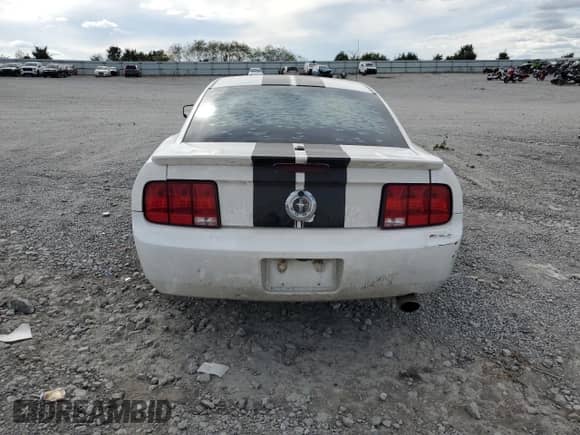 2008 Ford Mustang Deluxe z VIN 1ZVHT80N985173886, wystawiony jako Copart lot #70254335 z przebiegiem 206 558 mil mil oraz Szkoda całkowita • Salvage title. Historia ofert i sprzedaży dostępna na DreamBid. Obrazek 6.