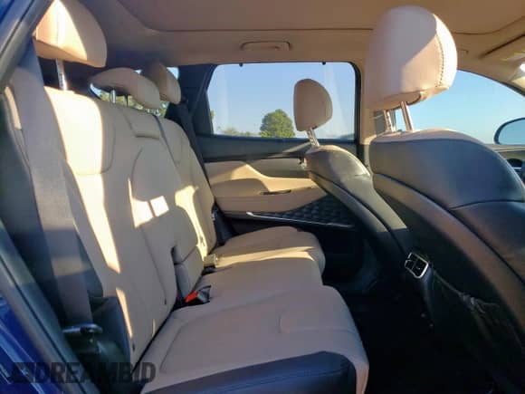 2023 Hyundai Santa Fe SEL Premium with VIN 5NMS3DA19PH004847, listed as a Copart auction lot 85886425 with 25,113 mi miles and Salvage title. Bid and sale history available at DreamBid. Image 11.