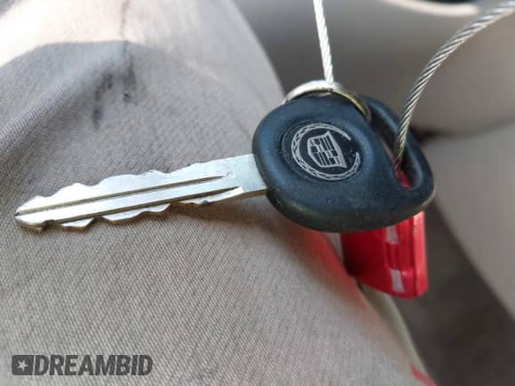 2003 Cadillac Escalade with VIN 1GYEK63N53R195307, listed as a IAAI auction lot 43048838 with Not provided miles and . Bid and sale history available at DreamBid. Image 11.