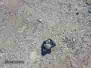 2020 Ford F-150 XL с VIN 1FTEW1EP0LKE90657, выставлен на аукционе IAAI как лот 40784955 с пробегом 64 978 миль миль и . История ставок и продаж доступна на DreamBid. Изображение 12.