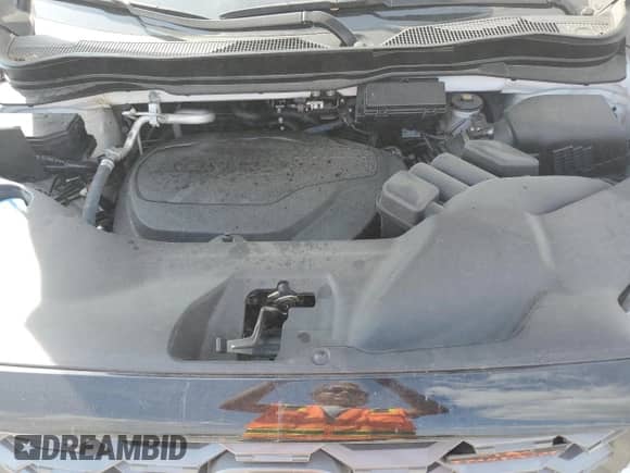 2024 Honda Passport TrailSport with VIN 5FNYF8H69RB008623, listed as a Copart auction lot 81230385 with 5,538 mi miles and Salvage title. Bid and sale history available at DreamBid. Image 12.