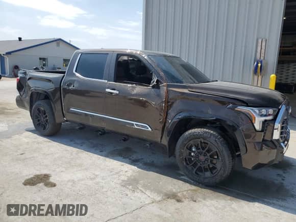 2025 Toyota Tundra 1794 Edition with VIN 5TFMA5DB2SX315626, listed as a Copart auction lot 80114725 with 2,359 mi miles and Salvage title. Bid and sale history available at DreamBid. Image 4.