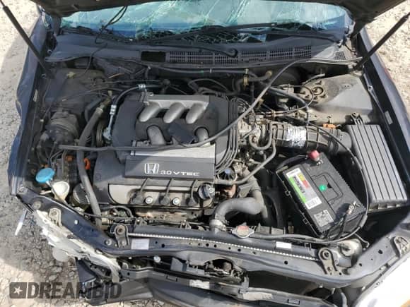 1998 Honda Accord EX with VIN 1HGCG1651WA010543, listed as a Copart auction lot 66078295 with Not provided miles and Salvage title. Bid and sale history available at DreamBid. Image 11.