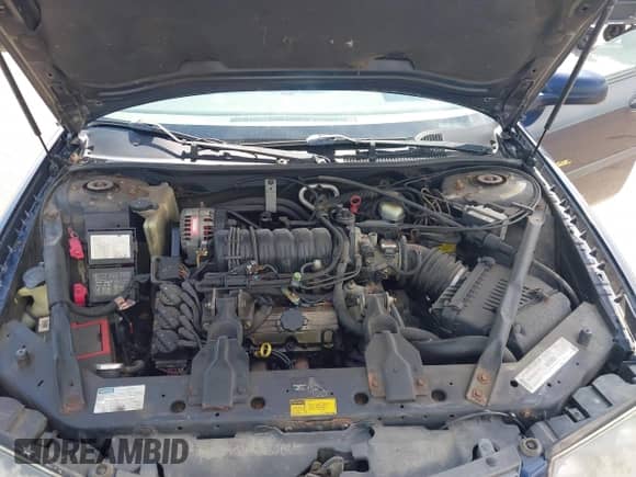 2000 Chevrolet Impala LS с VIN 2G1WH55K7Y9214102, выставлен на аукционе IAAI как лот 43131895 с пробегом 249 960 миль миль и . История ставок и продаж доступна на DreamBid. Изображение 10.