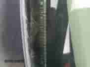 2002 Chevrolet Impala LS with VIN 2G1WH55K129217598, listed as a Copart auction lot 80061055 with 216,795 mi miles and Salvage title. Bid and sale history available at DreamBid. Image 12.