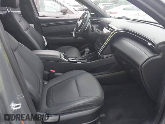 2024 Hyundai Santa Cruz XRT с VIN 5NTJDDAF9RH095937, выставлен на аукционе IAAI как лот 42433155 с пробегом 6 167 миль миль и . История ставок и продаж доступна на DreamBid. Изображение 5.