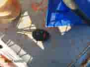 2013 Subaru Impreza Special Sports Premium z VIN JF1GPAL64D2890311, wystawiony jako IAAI lot #43336427 z przebiegiem 88 493 mil mil oraz . Historia ofert i sprzedaży dostępna na DreamBid. Obrazek 11.