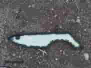 2018 Toyota Prius Plus z VIN JTDKARFP9J3098945, wystawiony jako IAAI lot #42471552 z przebiegiem 164 405 mil mil oraz . Historia ofert i sprzedaży dostępna na DreamBid. Obrazek 12.