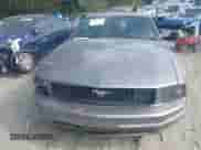 2006 Ford Mustang Standard with VIN 1ZVFT80N965135014, listed as a IAAI auction lot 43165064 with 190,515 mi miles and . Bid and sale history available at DreamBid. Image 12.