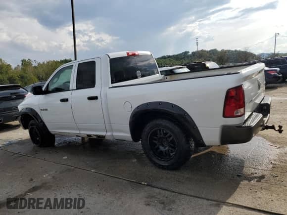 2010 Dodge 1500 ST z VIN 1D7RV1GP4AS144017, wystawiony jako Copart lot #72259784 z przebiegiem 274 150 mil mil oraz Nie do naprawy • Non repairable. Historia ofert i sprzedaży dostępna na DreamBid. Obrazek 2.