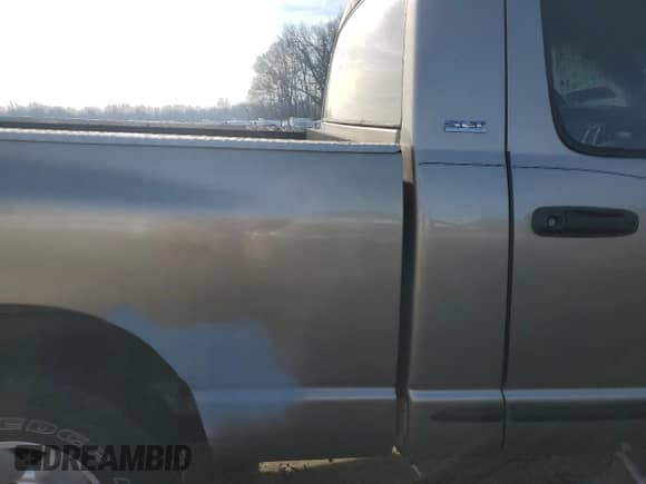 2002 Dodge 1500 z VIN 1D7HU16N22J128145, wystawiony jako Copart lot #86632984 z przebiegiem Nie podano mil oraz Szkoda całkowita • Salvage title. Historia ofert i sprzedaży dostępna na DreamBid. Obrazek 10.