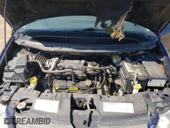 2005 Dodge Caravan SE with VIN 1D4GP24R35B289274, listed as a Copart auction lot 80197155 with 43,869 mi miles and Clean title. Bid and sale history available at DreamBid. Image 12.