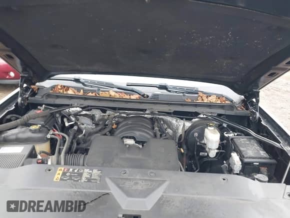 2017 Chevrolet Silverado 1500 LT with VIN 1GCVKREH6HZ140208, listed as a IAAI auction lot 42000684 with 174,989 mi miles and . Bid and sale history available at DreamBid. Image 10.