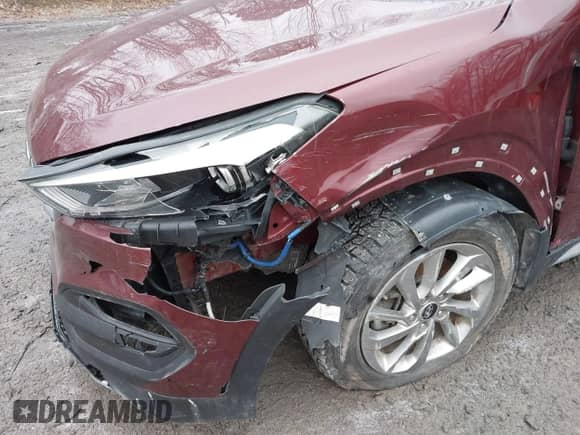 2017 Hyundai Tucson Eco с VIN KM8J3CA28HU420134, выставлен на аукционе IAAI как лот 41544873 с пробегом 116 493 миль миль и . История ставок и продаж доступна на DreamBid. Изображение 6.