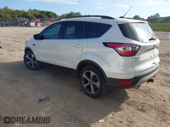 2017 Ford Escape SE with VIN 1FMCU9G94HUB77175, listed as a IAAI auction lot 43359533 with 153,347 mi miles and . Bid and sale history available at DreamBid. Image 3.