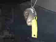 2008 Lexus IS 250 с VIN JTHBK262985070598, выставлен на аукционе IAAI как лот 43139915 с пробегом 138 923 миль миль и . История ставок и продаж доступна на DreamBid. Изображение 11.