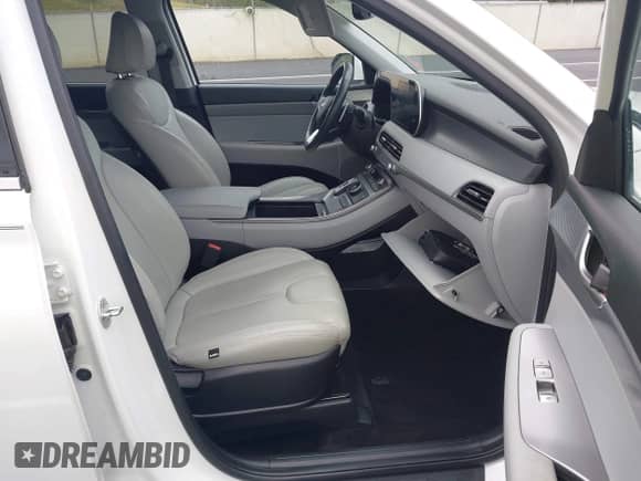 2020 Hyundai Palisade SEL с VIN KM8R34HE4LU079493, выставлен на аукционе IAAI как лот 43299366 с пробегом 48 485 миль миль и . История ставок и продаж доступна на DreamBid. Изображение 5.