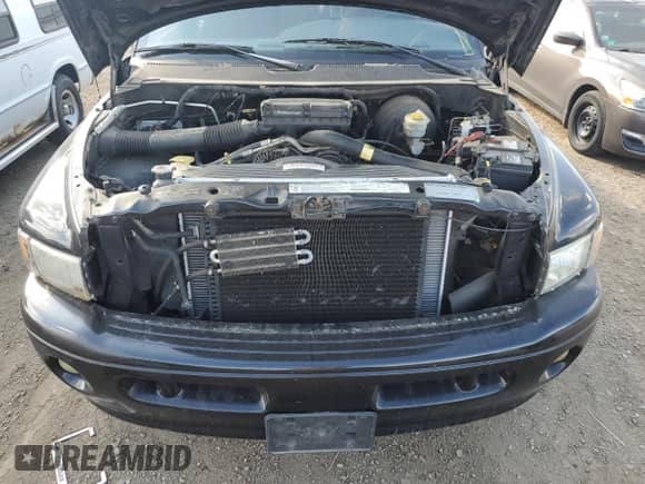 2000 Dodge 1500 with VIN 1B7HF13Z8YJ147268, listed as a Copart auction lot 84050655 with 244,229 mi miles and Clean title. Bid and sale history available at DreamBid. Image 11.