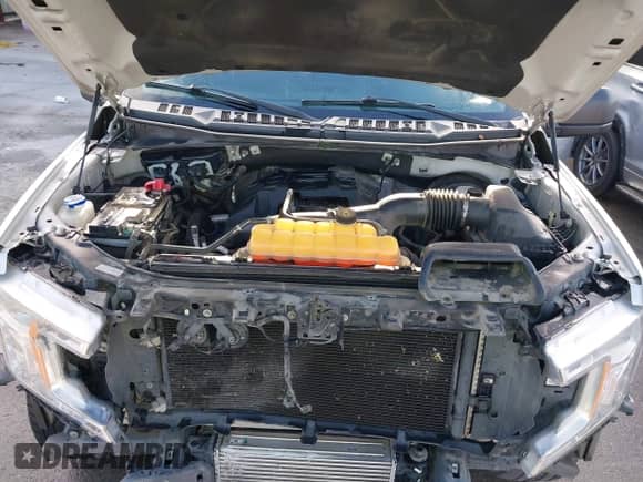 2018 Ford F-150 XL with VIN 1FTEW1CP8JKC70201, listed as a IAAI auction lot 42620912 with 124,499 mi miles and . Bid and sale history available at DreamBid. Image 10.