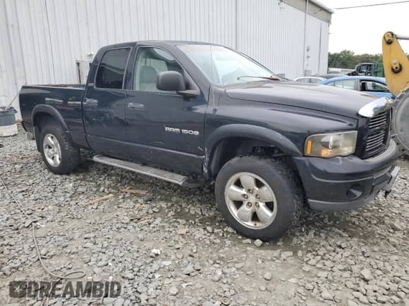 2002 Dodge 1500 with VIN 1B7HU18ZX2J113239, listed as a Copart auction lot 71881865 with 205,652 mi miles and Salvage title. Bid and sale history available at DreamBid. Image 4.