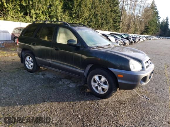 2006 Hyundai Santa Fe GLS with VIN KM8SC13DX6U112533, listed as a Copart auction lot 87078764 with Not provided miles and Salvage title. Bid and sale history available at DreamBid. Image 4.