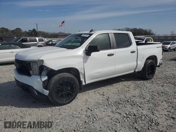 2019 Chevrolet Silverado 1500 Work Truck with VIN 1GCUYAEF2KZ370376, listed as a Copart auction lot 48030145 with 118,118 mi miles and Salvage title. Bid and sale history available at DreamBid. Image 1.