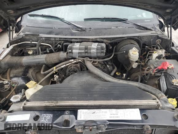 2001 Dodge 1500 Work Special with VIN 1B7HC16X01S174578, listed as a Copart auction lot 60694465 with 179,534 mi miles and Salvage title. Bid and sale history available at DreamBid. Image 11.