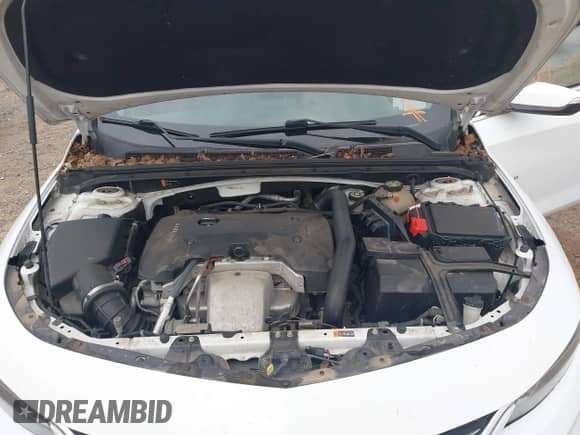 2017 Chevrolet Malibu Premier z VIN 1G1ZH5SX8HF227087, wystawiony jako IAAI lot #43219057 z przebiegiem 166 753 mil mil oraz . Historia ofert i sprzedaży dostępna na DreamBid. Obrazek 10.