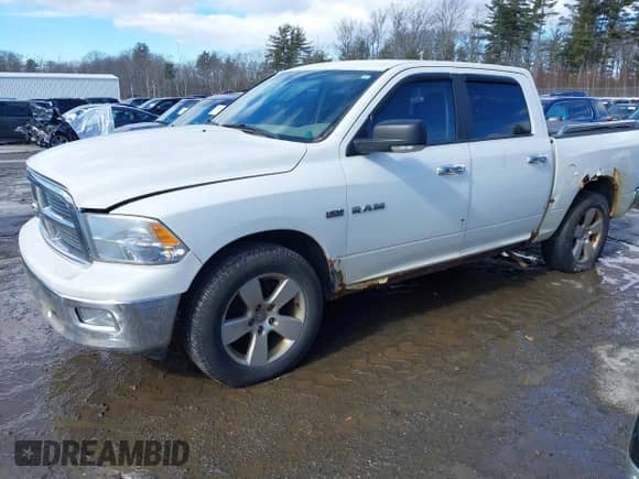 2009 Dodge 1500 SLT with VIN 1D3HV13T49S720877, listed as a IAAI auction lot 41703197 with 206,644 mi miles and . Bid and sale history available at DreamBid. Image 22.