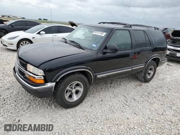 1998 Chevrolet Blazer LS with VIN 1GNCS13W8W2286004, listed as a Copart auction lot 55123135 with 182,347 mi miles and Salvage title. Bid and sale history available at DreamBid. Image 1.