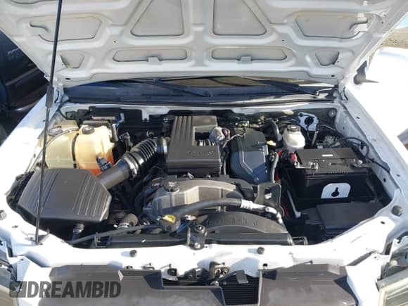 2009 Chevrolet Colorado Work Truck with VIN 1GCCS19E598156352, listed as a IAAI auction lot 43514725 with 87,022 mi miles and . Bid and sale history available at DreamBid. Image 10.