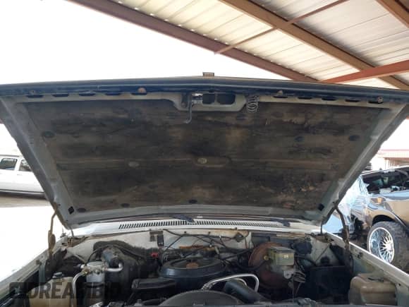 1988 Chevrolet Blazer с VIN 1GNEV18K2JF164620, выставлен на аукционе IAAI как лот 42750628 с пробегом 53 644 миль миль и . История ставок и продаж доступна на DreamBid. Изображение 10.