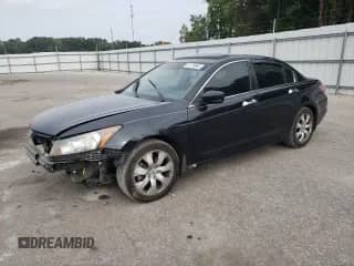 2009 Honda Accord EX-L with VIN 1HGCP36899A030341, listed as a Copart auction lot 81778865 with 230,946 mi miles and Salvage title. Bid and sale history available at DreamBid. Image 1.
