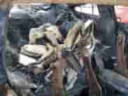 2009 Ford Mustang Shelby GT500 z VIN 1ZVHT88S595134711, wystawiony jako Copart lot #59057504 z przebiegiem Nie podano mil oraz Czysty tytuł • Clean title. Historia ofert i sprzedaży dostępna na DreamBid. Obrazek 10.