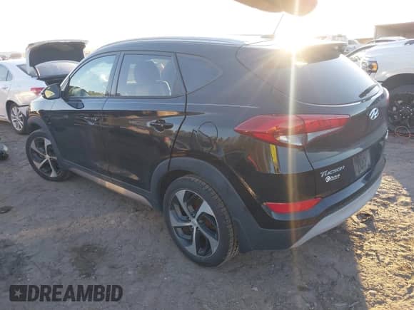 2017 Hyundai Tucson Eco с VIN KM8J3CA29HU285665, выставлен на аукционе IAAI как лот 41352005 с пробегом 107 780 миль миль и . История ставок и продаж доступна на DreamBid. Изображение 3.